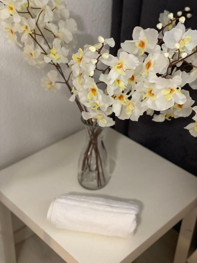 Central Shared Apartment, Friesenplatz Cologne Extérieur photo